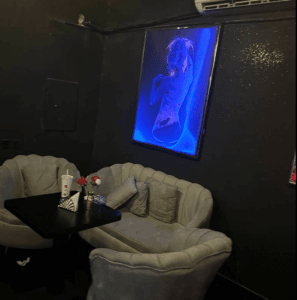 شيك كلوب الشرائع