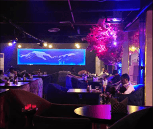 شيك كلوب الشرائع