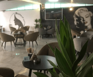 لاونج ساكورا تي